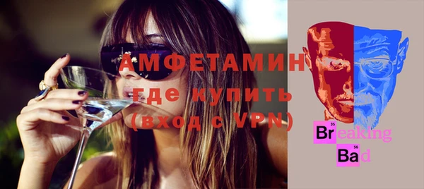 метадон Алексин