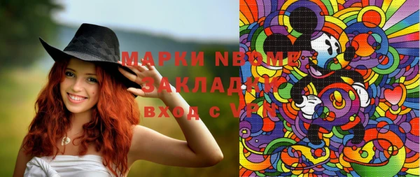 метадон Алексин