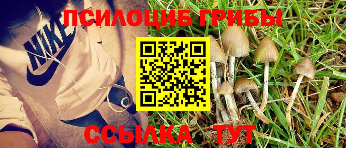 Псилоцибиновые грибы GOLDEN TEACHER  Галлюциногенные грибы Cubensis  Полысаево  Вход с VPN 
