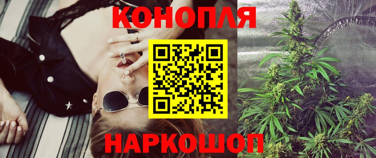 Бошки Шишки план Полысаево